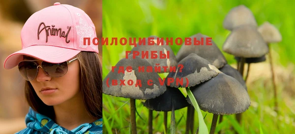 тгк Алзамай