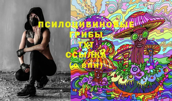 тгк Алзамай